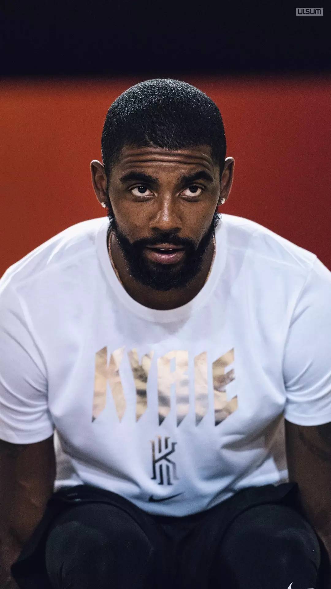 纸转会公告 纸转会公告